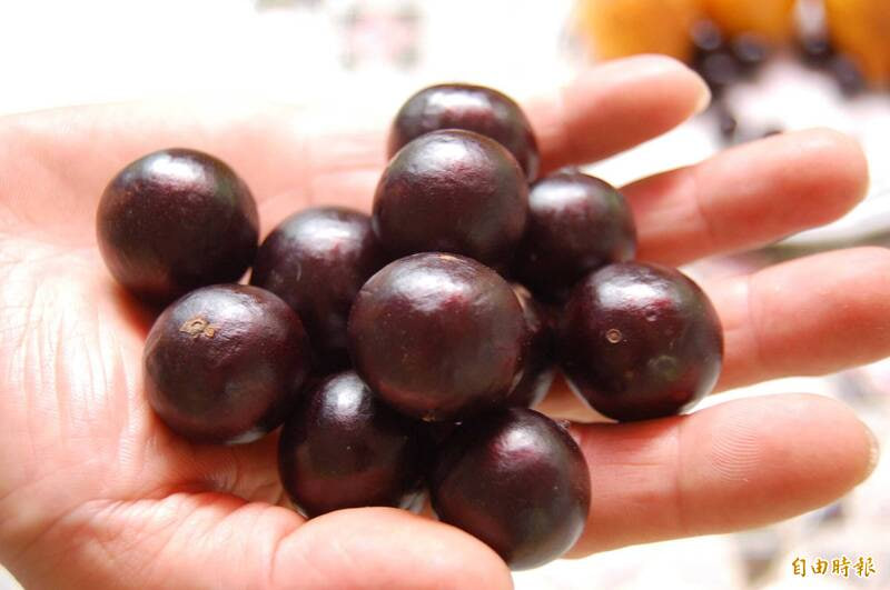 คุณค่าทางโภชนาการสูงของผลไม้ “องุ่นต้นไม้” !